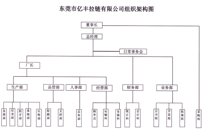 組織架構 - 東莞午夜福利大片午夜福利免费视频有限公司
