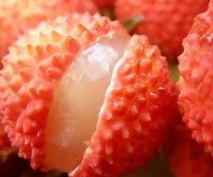 午夜福利免费视频荔枝